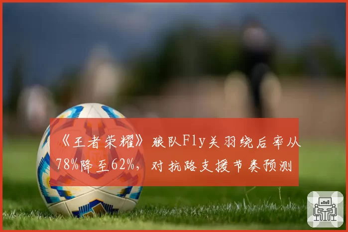 《王者荣耀》狼队Fly关羽绕后率从78%降至62%，对抗路支援节奏预测将迎变革