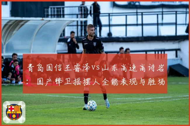 青岛国信王睿泽vs山东高速高诗岩：国产锋卫摇摆人全能表现与胜场贡献值对比